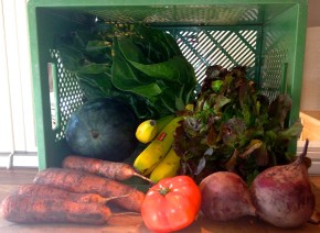 Gemüse und Obst aus der Bio-Kiste.