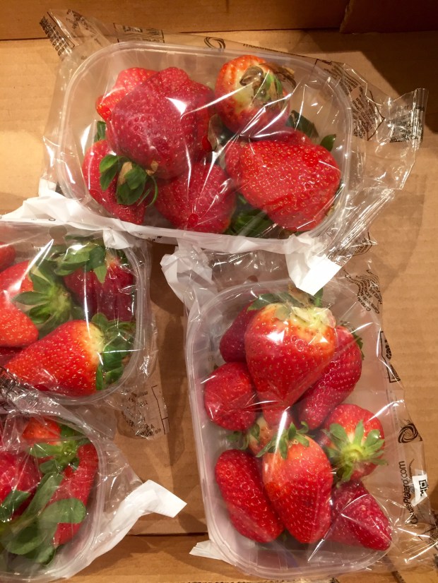 Erdbeeren in Folie verpackt